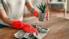 Darum gibt es in japanischen Häusern nie Staub – diese Reinigungsmethode ist erstaunlich einfach